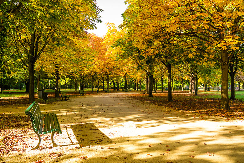 Tiergarten in Berlin