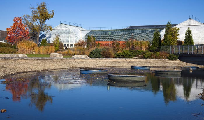 Garfield Park Conservatory in Chicago