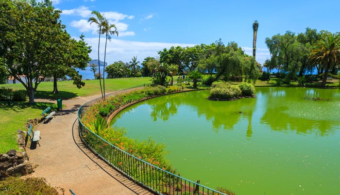 Santa Caterina Park in Madeira