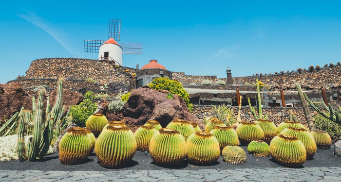 Jardin de Cactus in Lanzarote